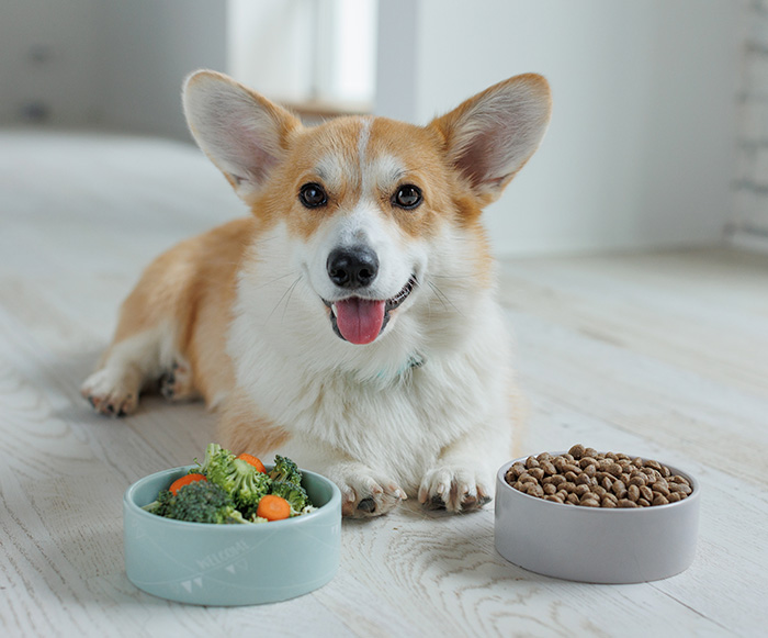 Nutrition Guidance